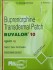 Buvalor - buprenorphine - 10mcg - 2 Patches